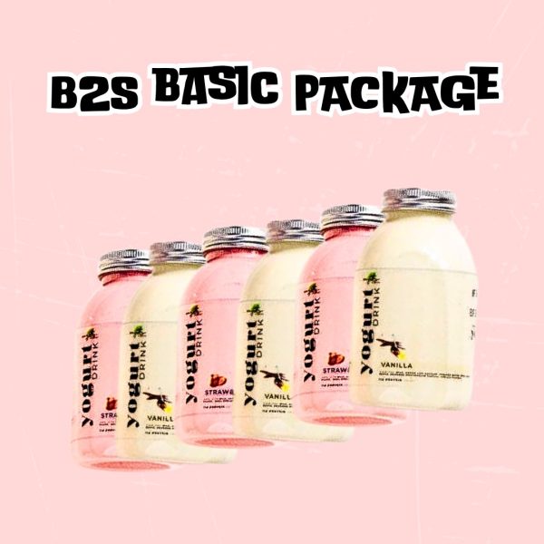 B2S Basic package